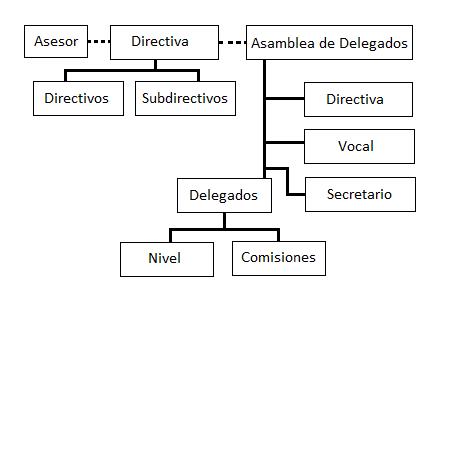 Organigrama del_CESI